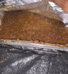 Pan of baked dish covered in sauce